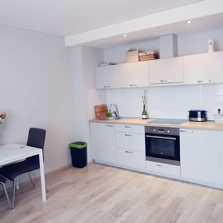 Modern Light Studio In Проживание в семье *